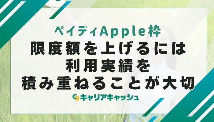 限度額を上げるには利用実績を積み重ねることが大切