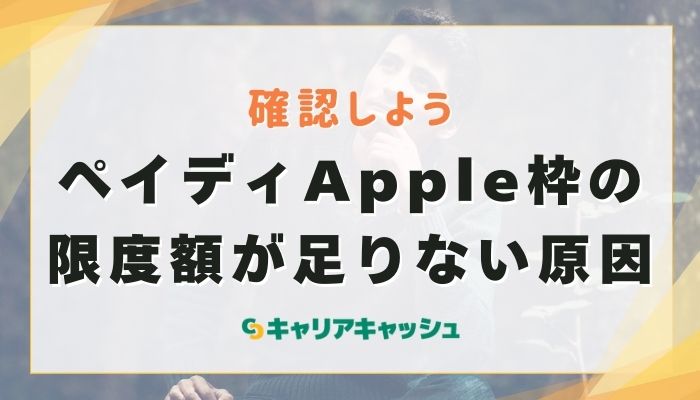 ペイディApple枠の限度額が足りない原因