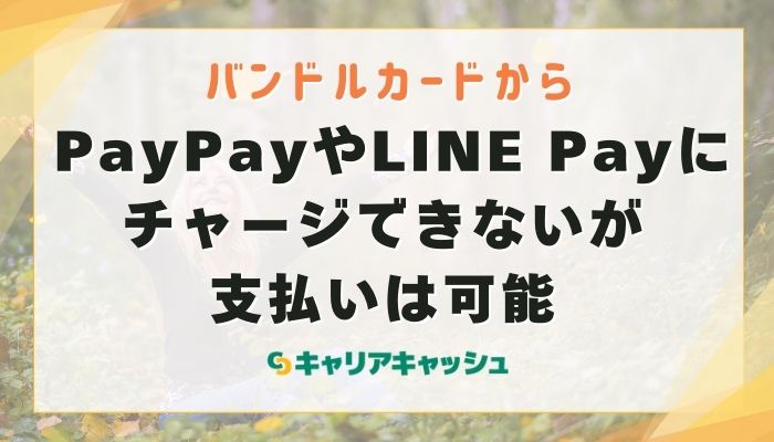 PayPayやLINE Payにチャージできないが支払いは可能