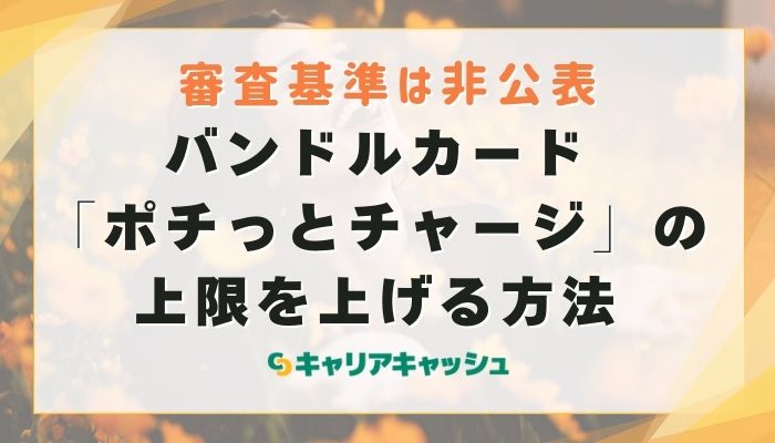 バンドルカード「ポチっとチャージ」の上限を上げる方法