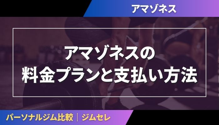 アマゾネスの料金プランと支払い方法