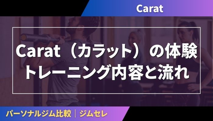 Carat（カラット）の体験トレーニング内容と流れ